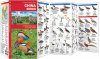 China Birds