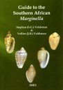 Guide to the Southern Africa Marginella
