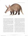 Walker's Mammals of the World: Monotremes, Marsupials, Afrotherians, Xenarthrans, and Sundatherians