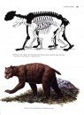 Ice Age Mammals of North America