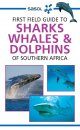 First Field Guide to Sharks, Whales & Dolphins of Southern Africa
