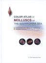 Color Atlas of Molluscs of The South China Sea