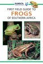 First Field Guide to Frogs of Southern Africa