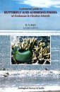 A Pictorial Guide to Butterfly and Anemone Fishes of Andaman & Nicobar Islands