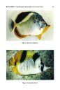 A Pictorial Guide to Butterfly and Anemone Fishes of Andaman & Nicobar Islands