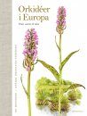Orkidéer i Europa: Vilda, Vackra & Väna [Orchids]