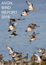 Avon Bird Report 2016