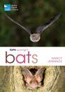 RSPB Spotlight: Bats