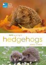 RSPB Spotlight: Hedgehogs