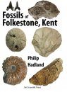 Fossils of Folkestone, Kent
