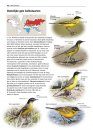 Zeldzame Vogels van Europa [All the Rare Birds of Europe]