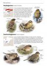 Zeldzame Vogels van Europa [All the Rare Birds of Europe]