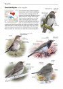 Zeldzame Vogels van Europa [All the Rare Birds of Europe]