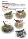 Zeldzame Vogels van Europa [All the Rare Birds of Europe]