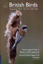 British Birds Report on Scarce Migrant Birds in Britain in 2015, Part 2: Passerines