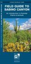 Field Guide to Sabino Canyon