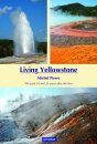 Living Yellowstone