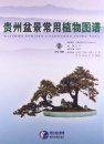 Atlas of Common Bonsai Plants in Guizhou [Chinese]