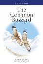 The Common Buzzard