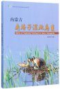 Birds of Nanhaizi Wetland in Inner Mongolia [Chinese]