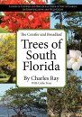 The Conifer and Broadleaf Trees of South Florida