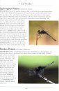 A Naturalist's Guide to the Butterflies & Dragonflies of Sri Lanka