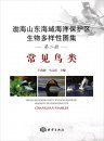 Atlas of Biodiversity in Shandong and Bohai Marine Protected Areas: Common Birds [Chinese]