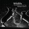 Wildlife Photographer of the Year: Highlights Volume 3