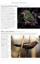 A Naturalist's Guide to the Birds of Fraser's Hill and the Highlands of Peninsular Malaysia