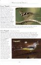 A Naturalist's Guide to the Birds of Fraser's Hill and the Highlands of Peninsular Malaysia