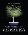 Cultivation of Bursera