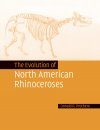 The Evolution of North American Rhinoceroses