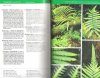 Guide to the Ferns and Lycophytes of REBIO Uatumã - Central Amazonia / Guia de Samabaias e Licófitas da REBIO Uatumã - Amazônia Central