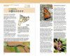 Guia de les Papallones Diürnes de Catalunya [Guide to the Diurnal Butterflies of Catalonia]