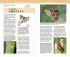 Guia de les Papallones Diürnes de Catalunya [Guide to the Diurnal Butterflies of Catalonia]