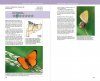 Guia de les Papallones Diürnes de Catalunya [Guide to the Diurnal Butterflies of Catalonia]