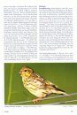Die Vogelwelt von Rheinland-Pfalz, Band 4: Singvögel (Passeriformes) [The Avifauna of Rhineland-Palatinate, Volume 4: Perching Birds (Passeriformes)] (2-Volume Set)