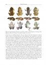 Amphibians and Reptiles of the St. Vincent and Grenada Banks, West Indies
