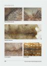 Hair and Fur Atlas of Central European Mammals