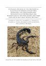 Systematic Revision of the Neotropical Club-Tailed Scorpions, Physoctonus, Rhopalurus, and Troglorhopalurus, Revalidation of Heteroctenus, and Descriptions of Two New Genera and Three New Species (Buthidae, Rhopalurusinae)