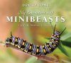 My Encounters with Minibeasts