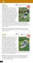 Birds of the Brecks