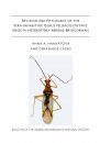 Revision and Phylogeny of the Fern-Inhabiting Genus Felisacus Distant (Insecta, Heteroptera, Miridae, Bryocorinae)