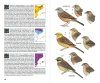 Ocells de Catalunya, País Valencià i Balears: Inclou també Catalunya Nord, Franja de Ponent i Andorra [Birds of Catalonia, Valencia and the Balearic Islands: Including North Catalonia, the Western Strip and Andorra]