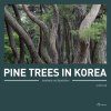 Pine Trees In Korea