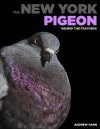 The New York Pigeon