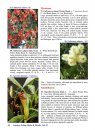 Common Indian Herbs and Shrubs: Pictorial Documentation, Volume 2