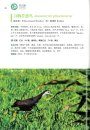 Atlas of Birds in Chebaling [Chinese]