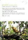 Atlas of Birds in Chebaling [Chinese]