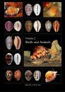 Cowries – A Guide to the Gastropod Family Cypraeidae, Volume 2